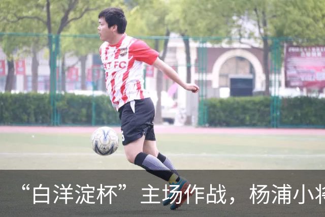 “白洋淀杯”主场作战，杨浦小将超额完成“争四”目标